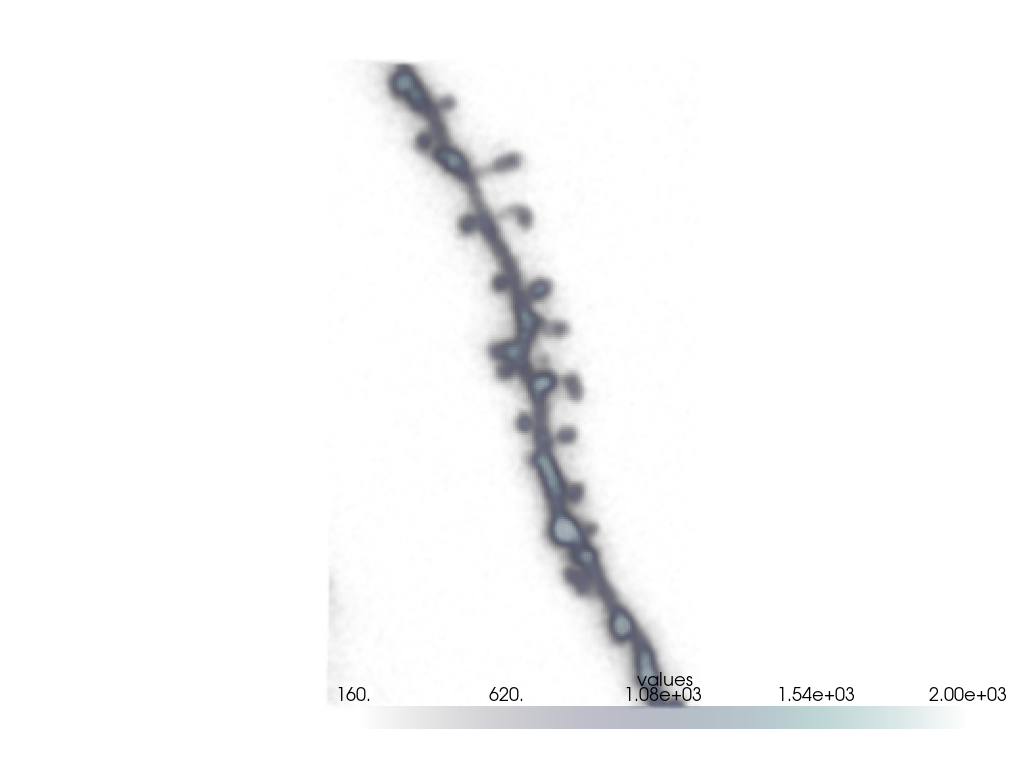 plot dendrite