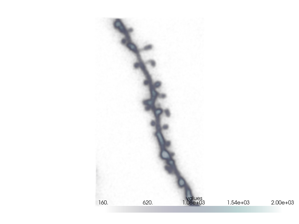 plot dendrite