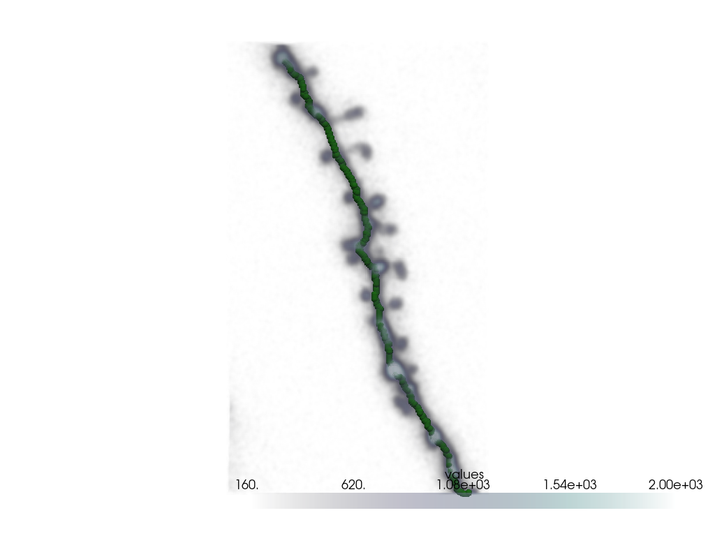 plot dendrite